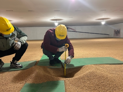 365 双式投注_365彩票合法吗_Bet体育365提款流程惠山地方粮食储备有限公司多措并举守护“大国粮仓”
